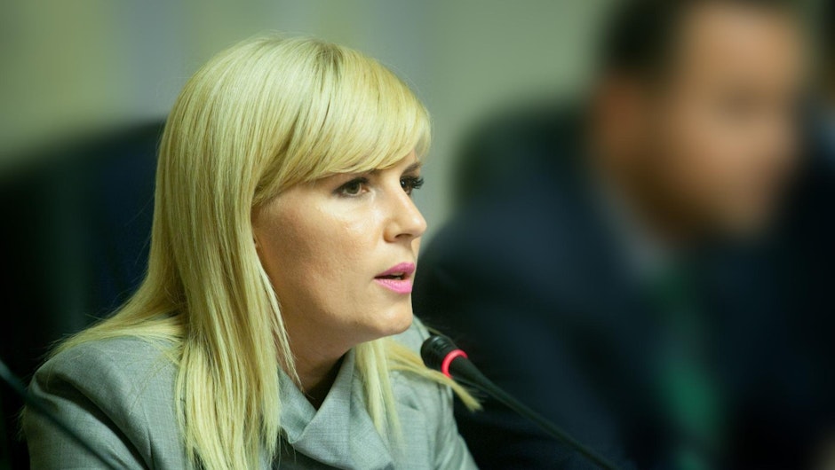 Fostul ministru, Elena Udrea