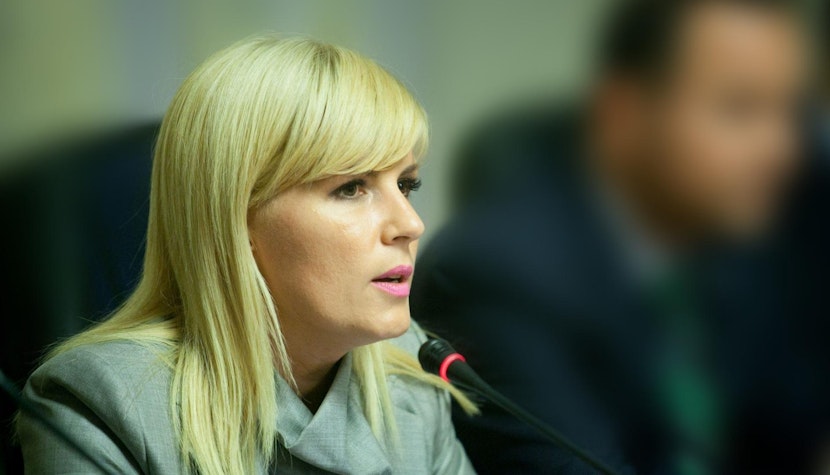 Fostul ministru, Elena Udrea
