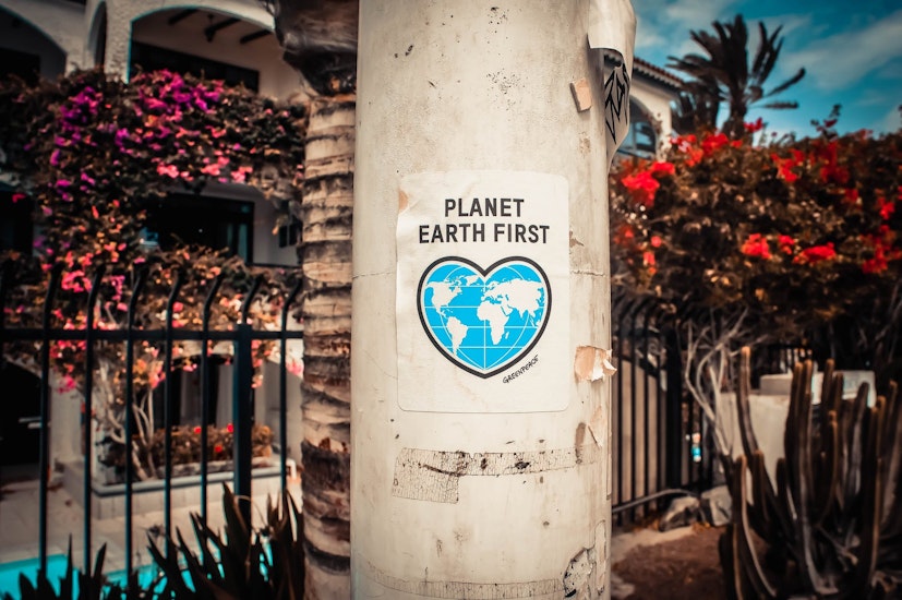 Afiș „Planet earth first”