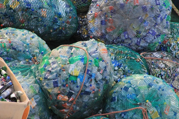 pet-uri in saci