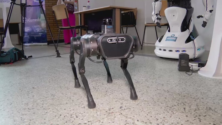 Câinele robot