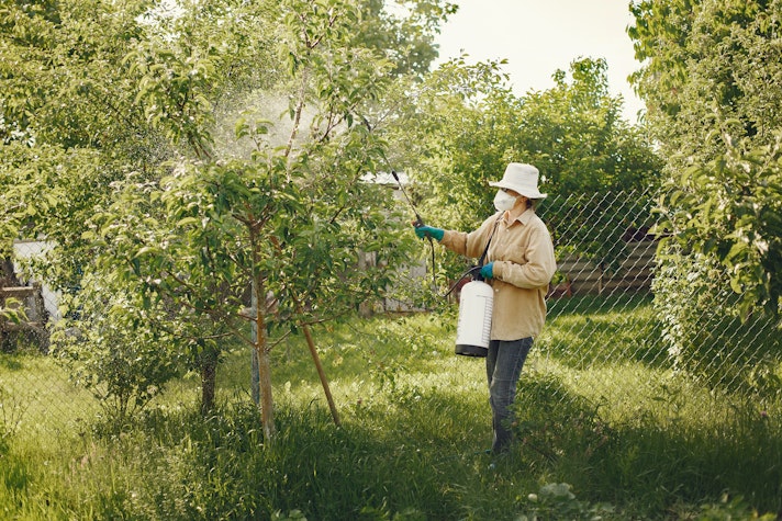 Pesticide