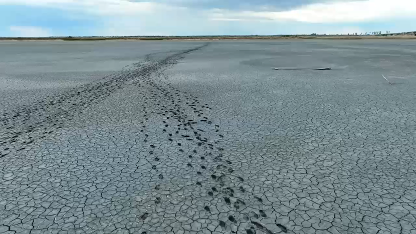 lacul amara