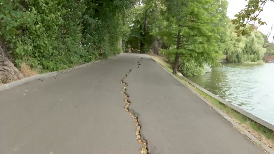 Parcul Regele Mihai I Parcul Regele Mihai I