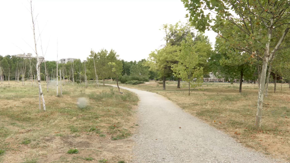 Parcul Izvor Parcul Izvor