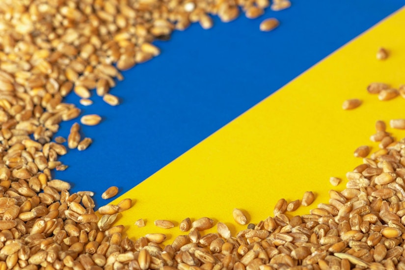 cereale ucraina