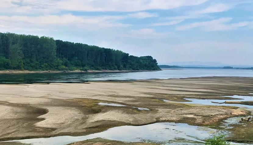 Imagine cu Dunărea la Gârla Mare