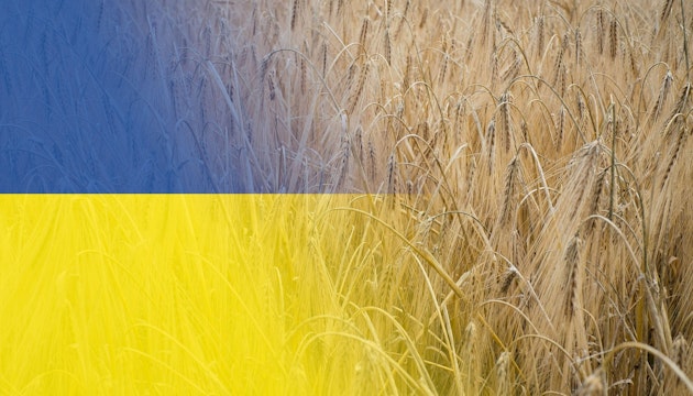 Ucraina, cereale, 12 nave