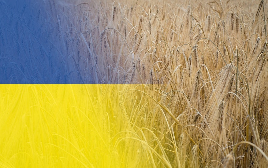 Ucraina, cereale, 12 nave