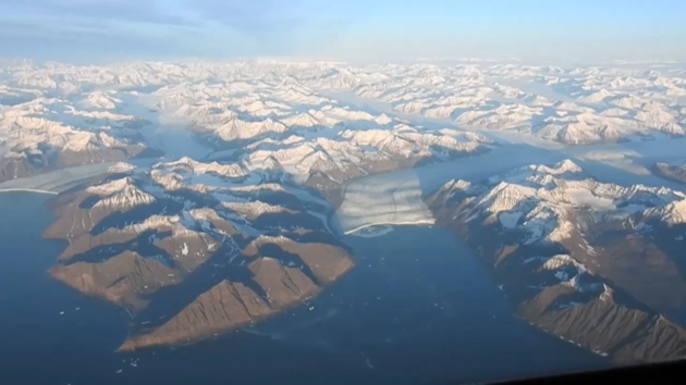 arctica