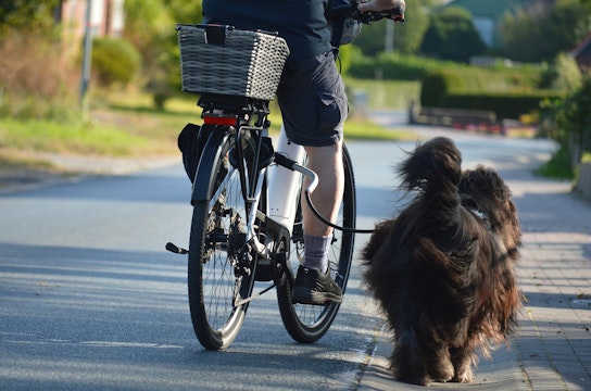 biciclete