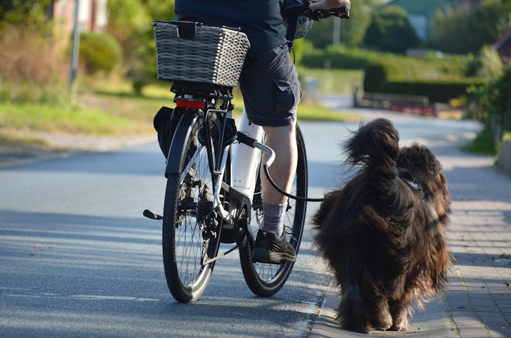 biciclete