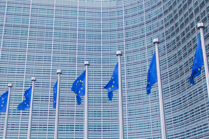 Parlamentul European.