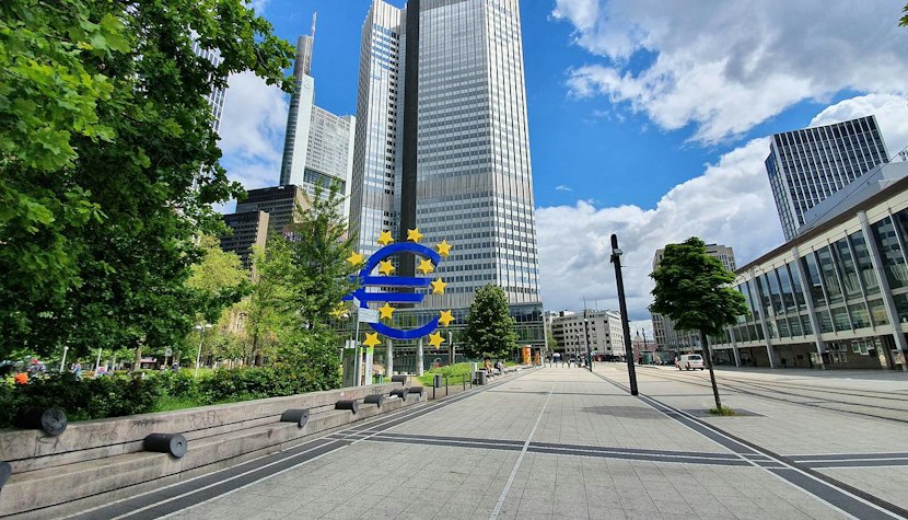 Banca Centrală Europeană, despre încetinirea economiei: Va duce la o potenţială creştere a insolvenţelor Banca Centrală Europeană