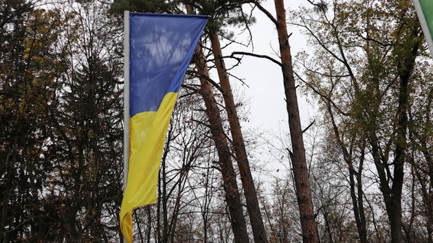 ucraina steag