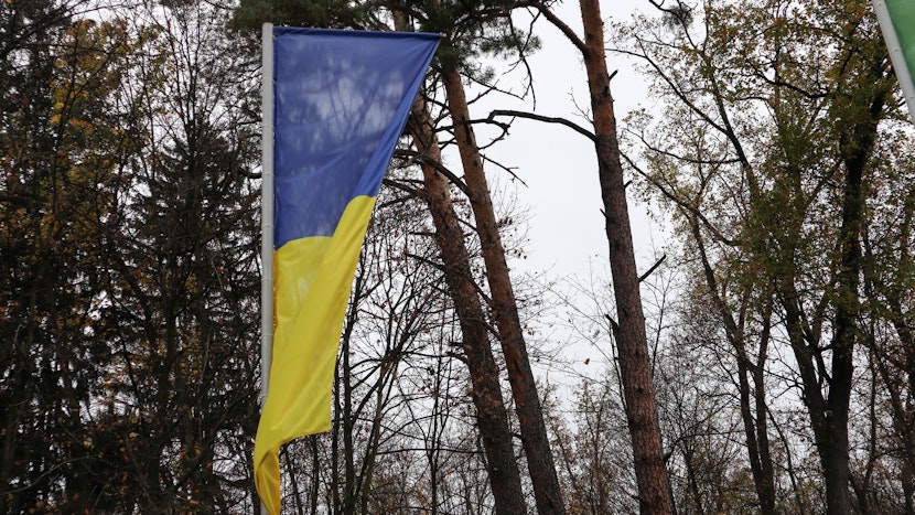 ucraina steag