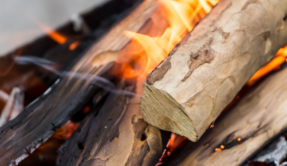 lemne de foc, cererea creste, austria