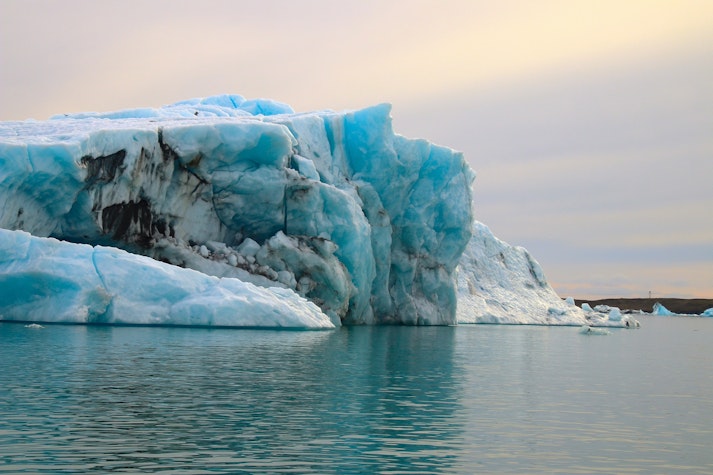 arctica