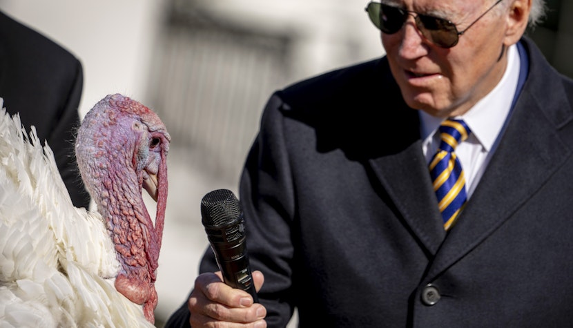 Preşedintele Joe Biden a graţiat doi curcani înainte de Ziua Recunoştinţei Joe Biden