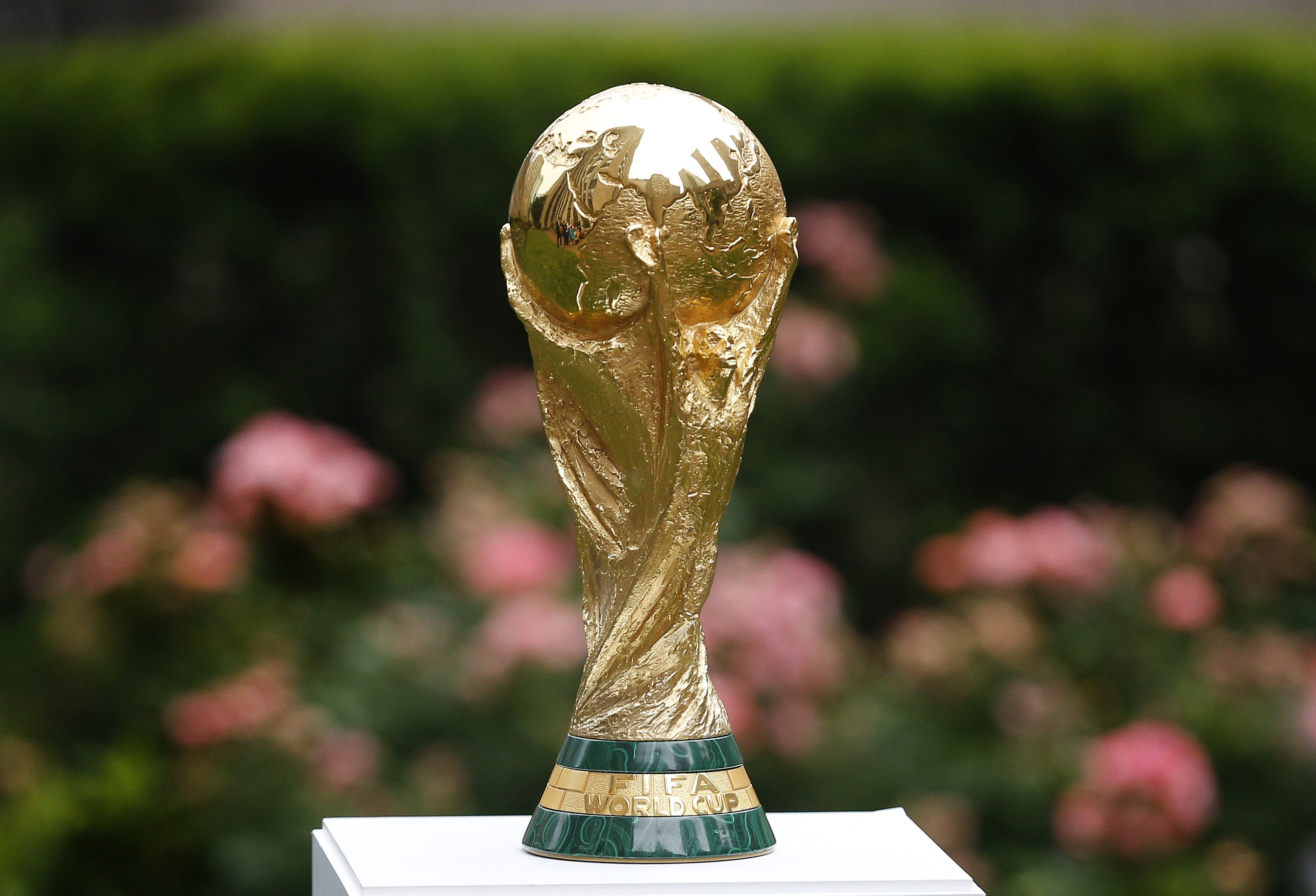 Trofeul Campionatului Mondial de Fotbal