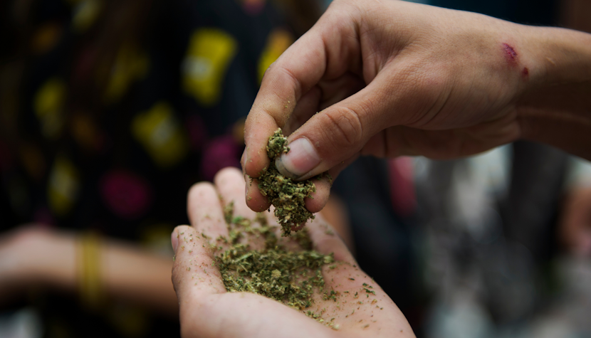 Consumul de marijuana ar putea fi interzis în anumite zone din Amsterdam. Motivele invocate de autorități marijuana