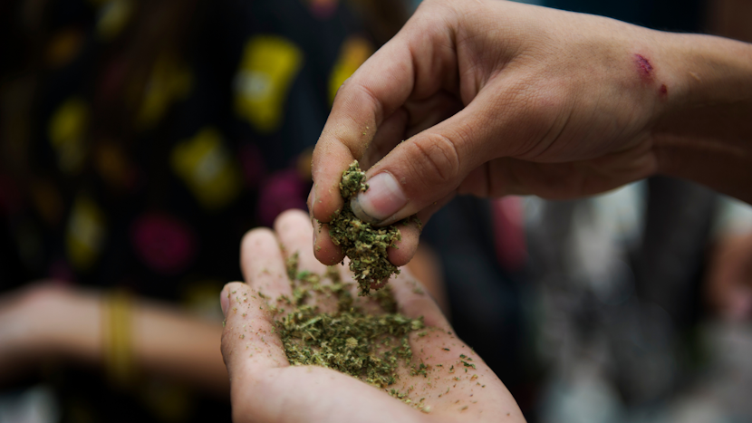 marijuana