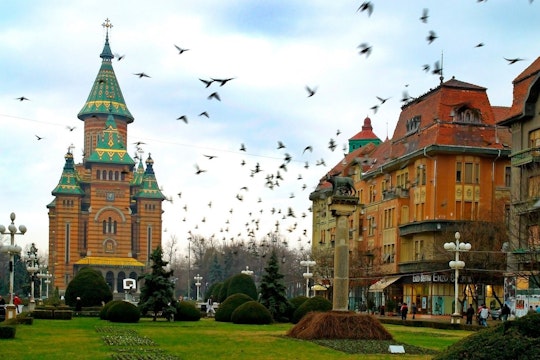timisoara