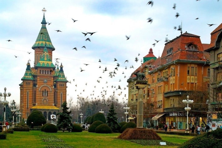 timisoara