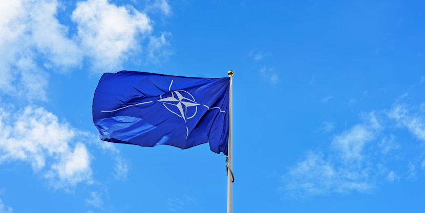 nato steag