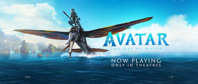 Avatar