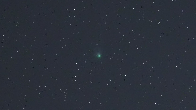 cometa verde