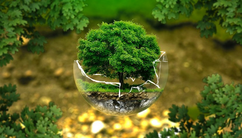 reenhushing este o formă sofisticată de „greenwashing! care este ușor de trecut cu vederea. mediu
