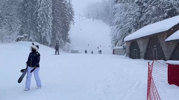 poiana brasov