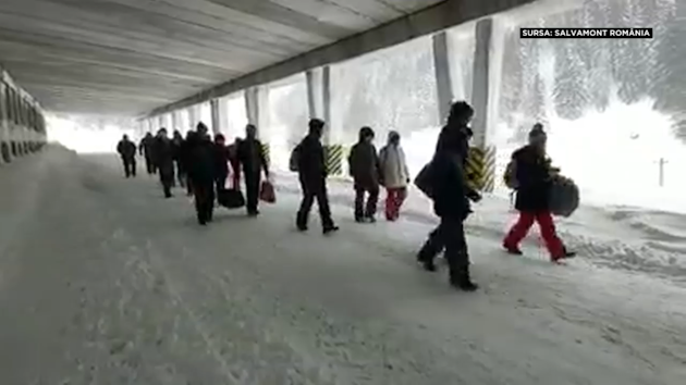 turisti