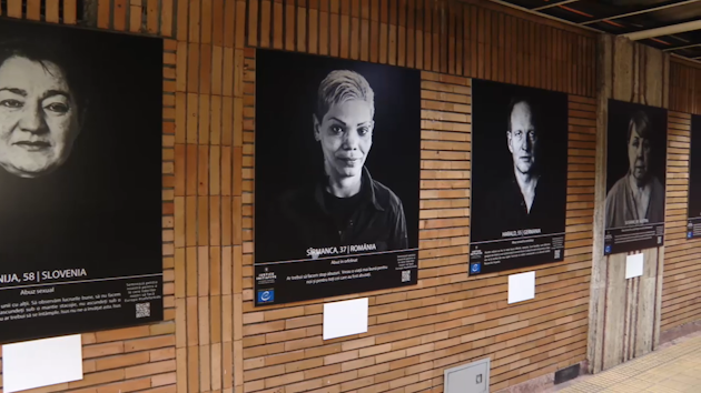 expozitie