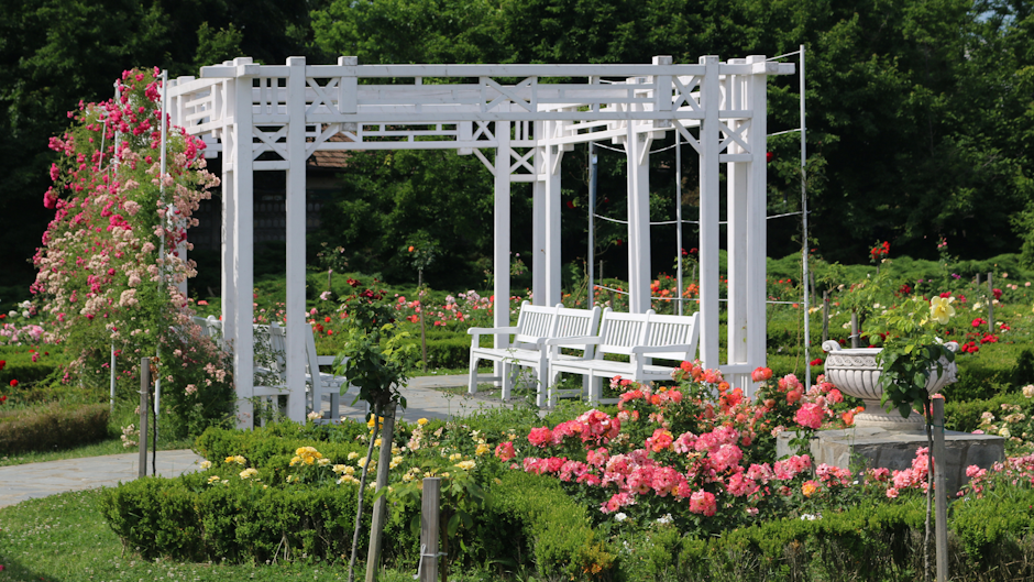 parc trandafiri timisoara