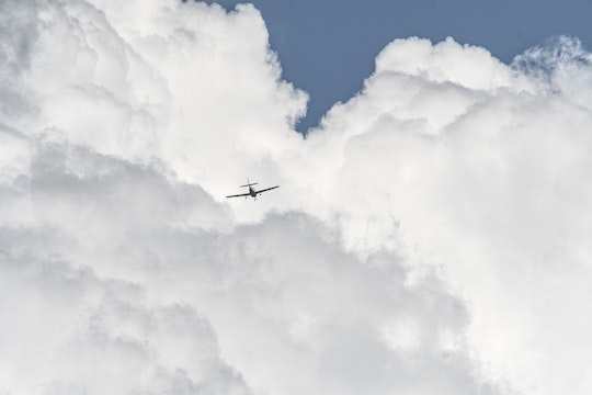avion