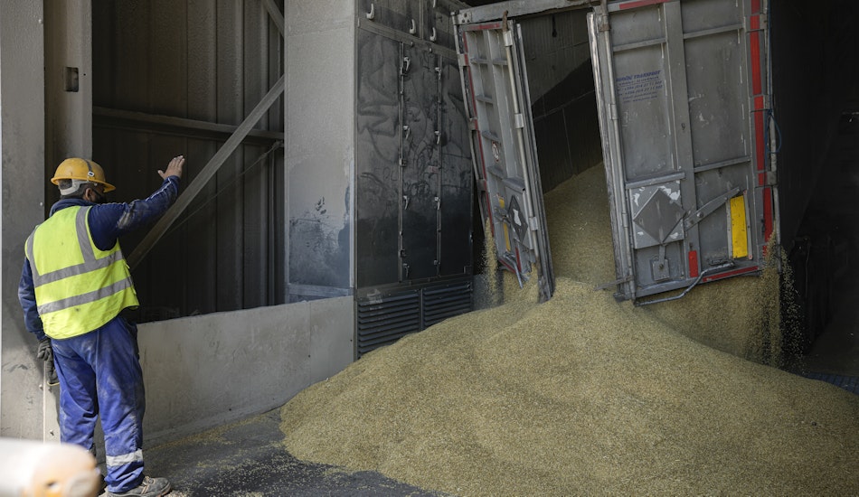 Cereale descărcate în portul Constanța