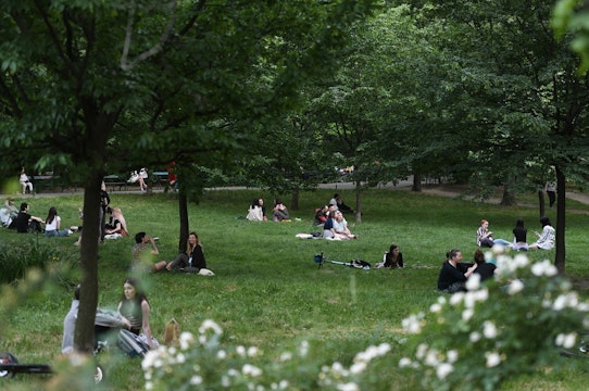 oameni parc