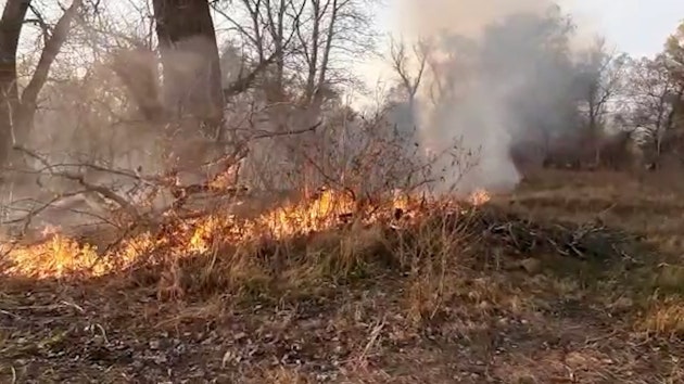 incendiu delta