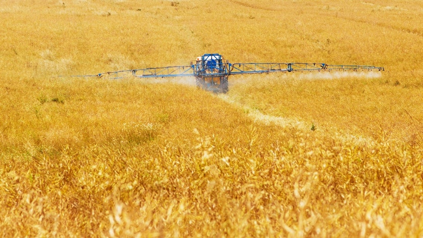 agricultura