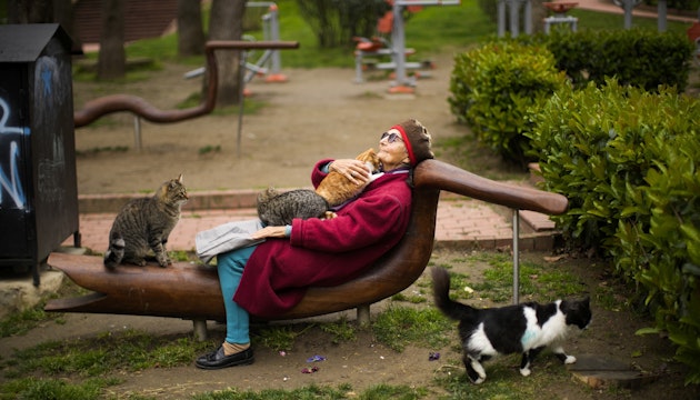 O femeie sta intinsa pe o banca din Istanbul, cu pisici in brate
