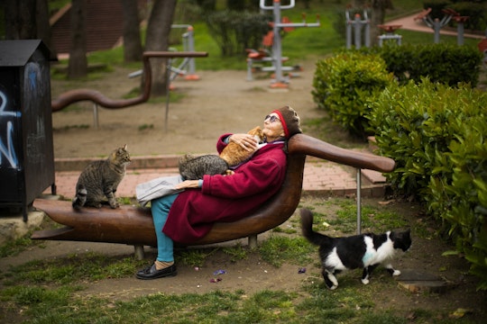 O femeie sta intinsa pe o banca din Istanbul, cu pisici in brate