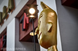 Statuie premiile gopo
