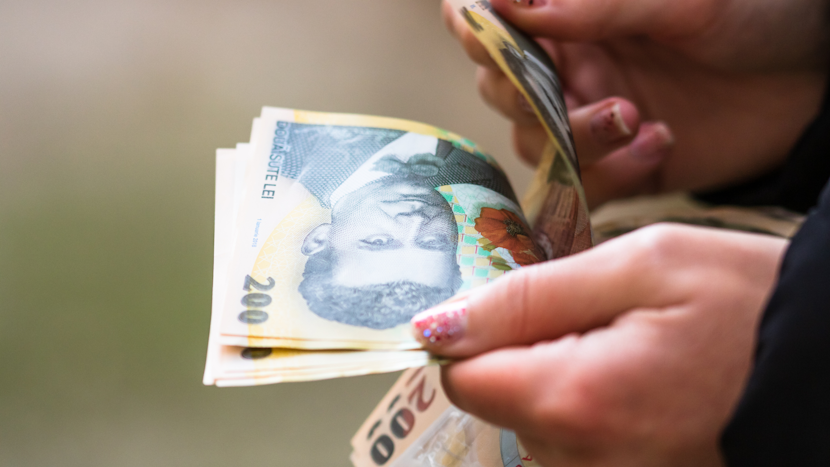 O persoană numără bani românești