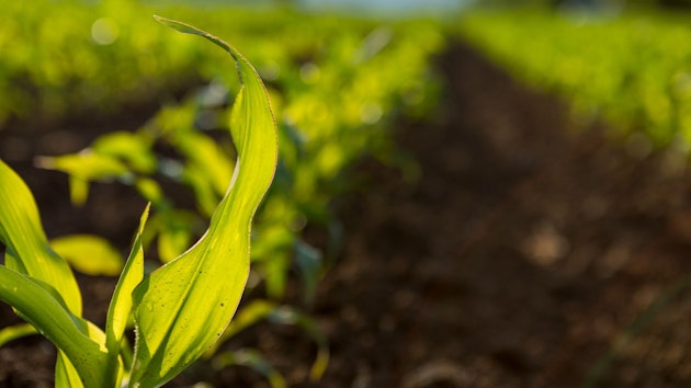 agricultură
