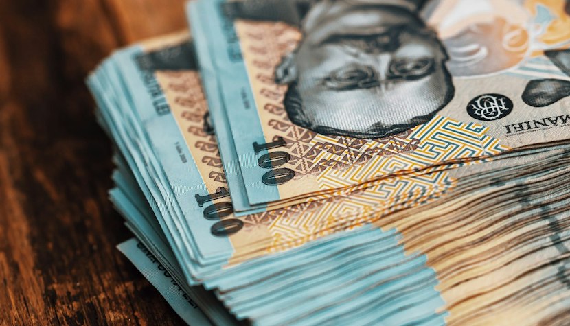 Începe plata sumelor pentru acoperirea cheltuielilor restante cu hrana şi cazarea cetăţenilor ucraineni. bani