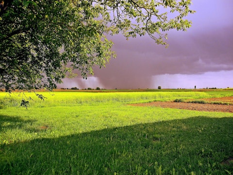 natura vremea ploaie