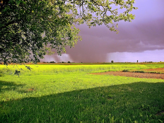 natura vremea ploaie