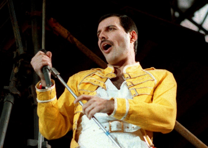 freddie mercury